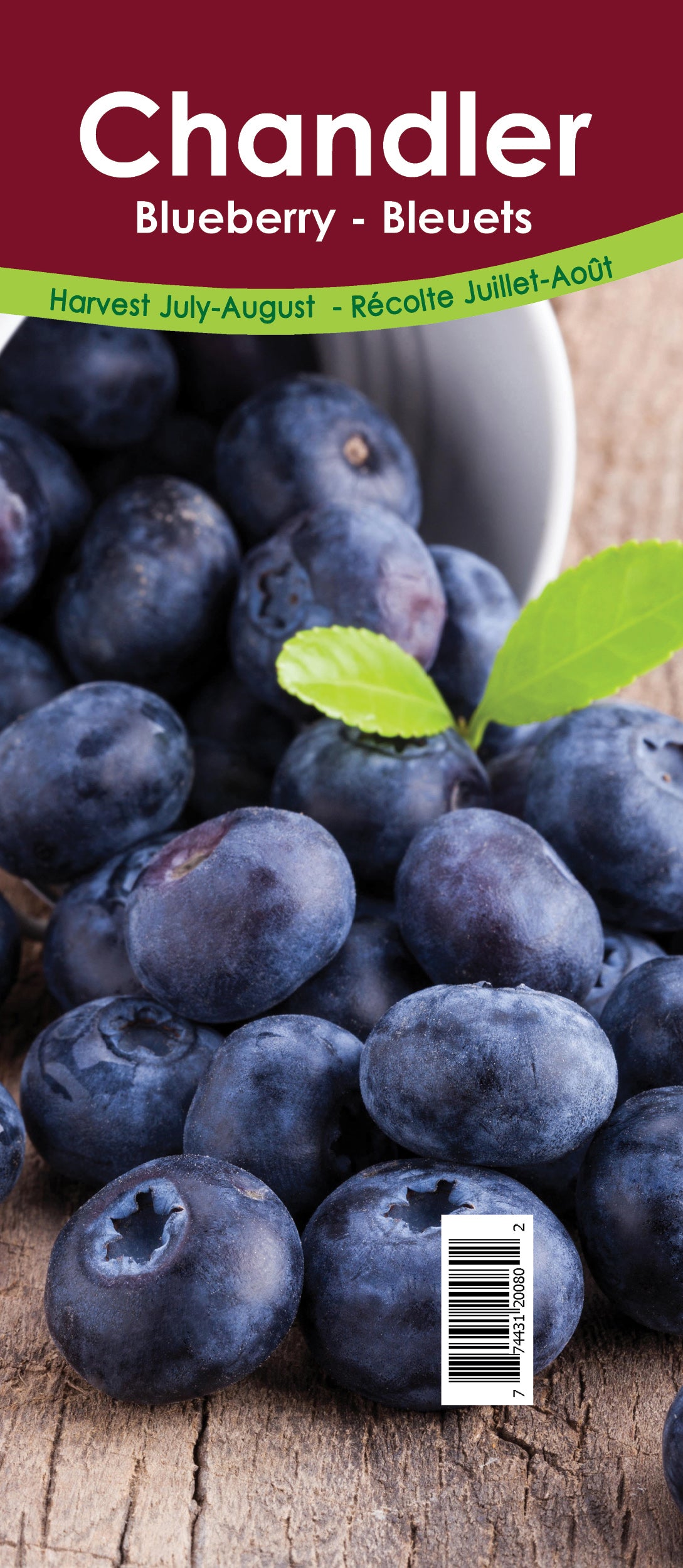 Blueberry - Chandler Retail Pot