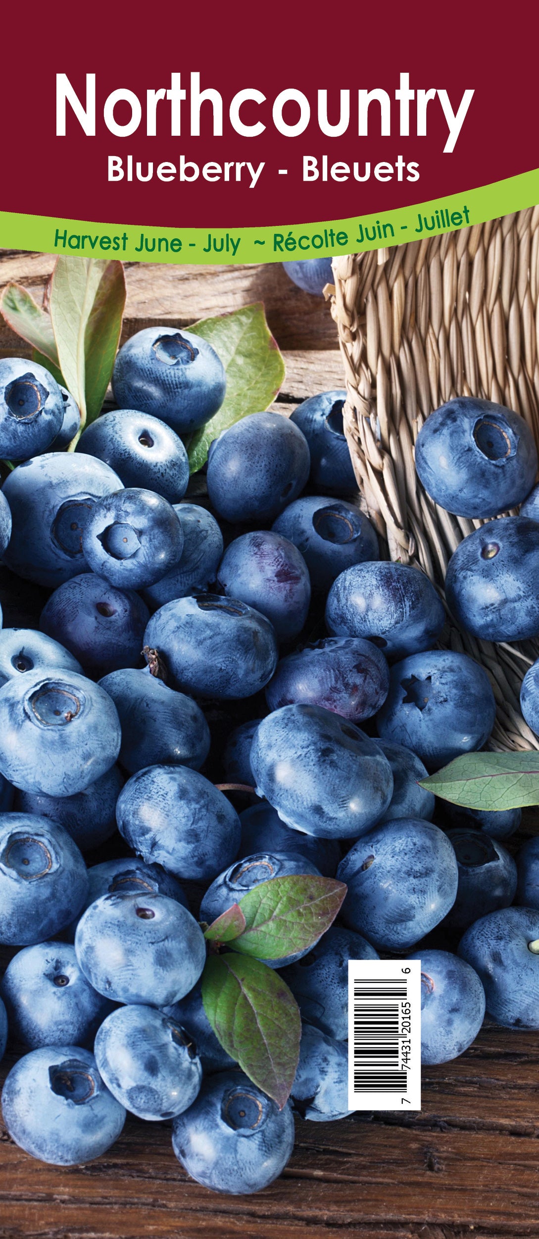 Blueberry - Northland Retail Pot