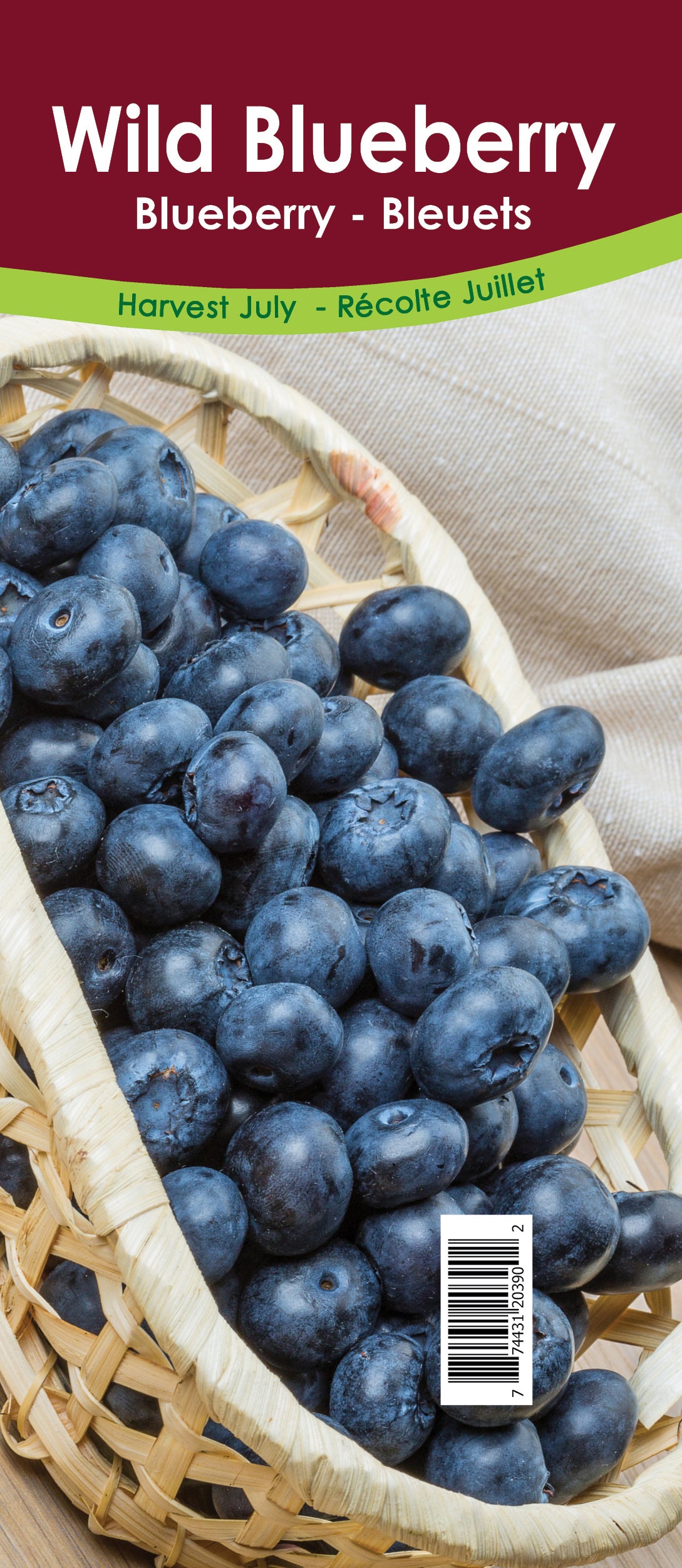 Blueberry - Angustifolium (Wild Blueberry) Retail Pot
