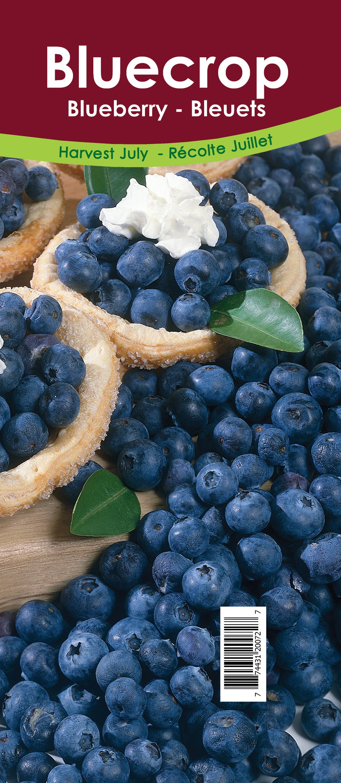 Blueberry - Bluecrop Retail Pot