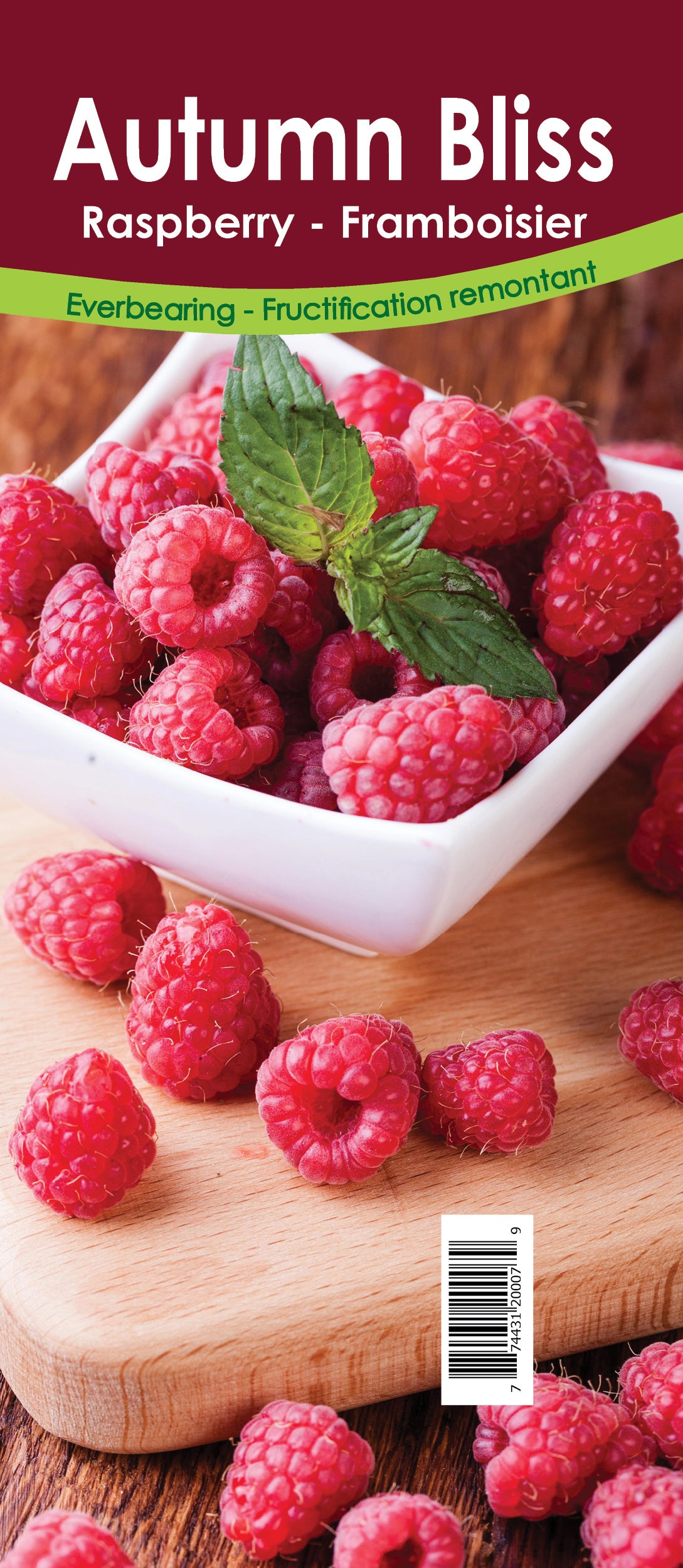 Raspberry Everbearing - Autumn Bliss Retail Pot