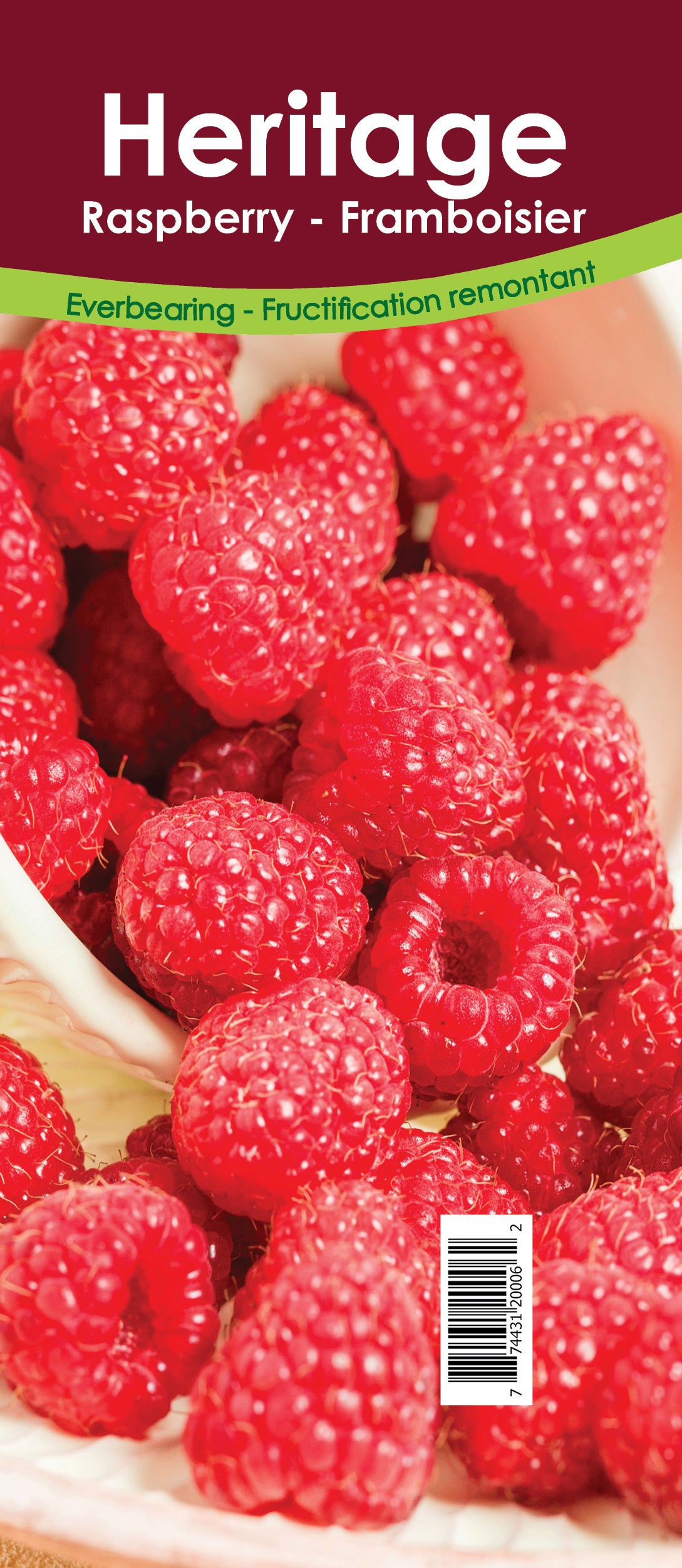 Raspberry Everbearing - Heritage Retail Pot