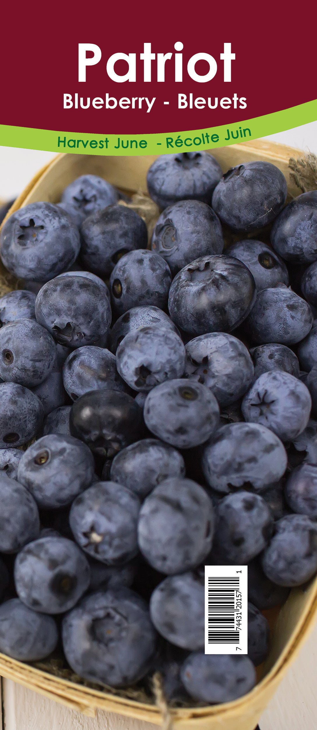 Blueberry - Patriot Retail Pot