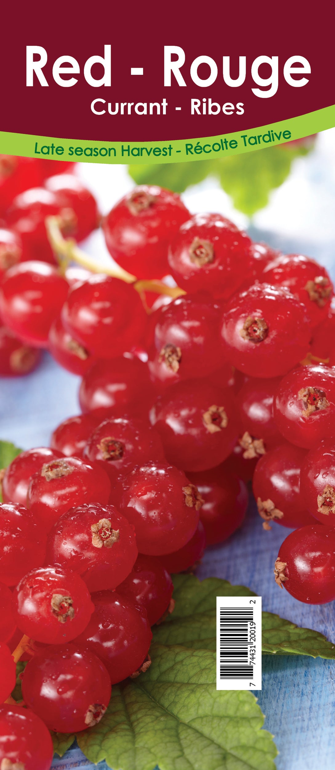 Currant - Red Retail