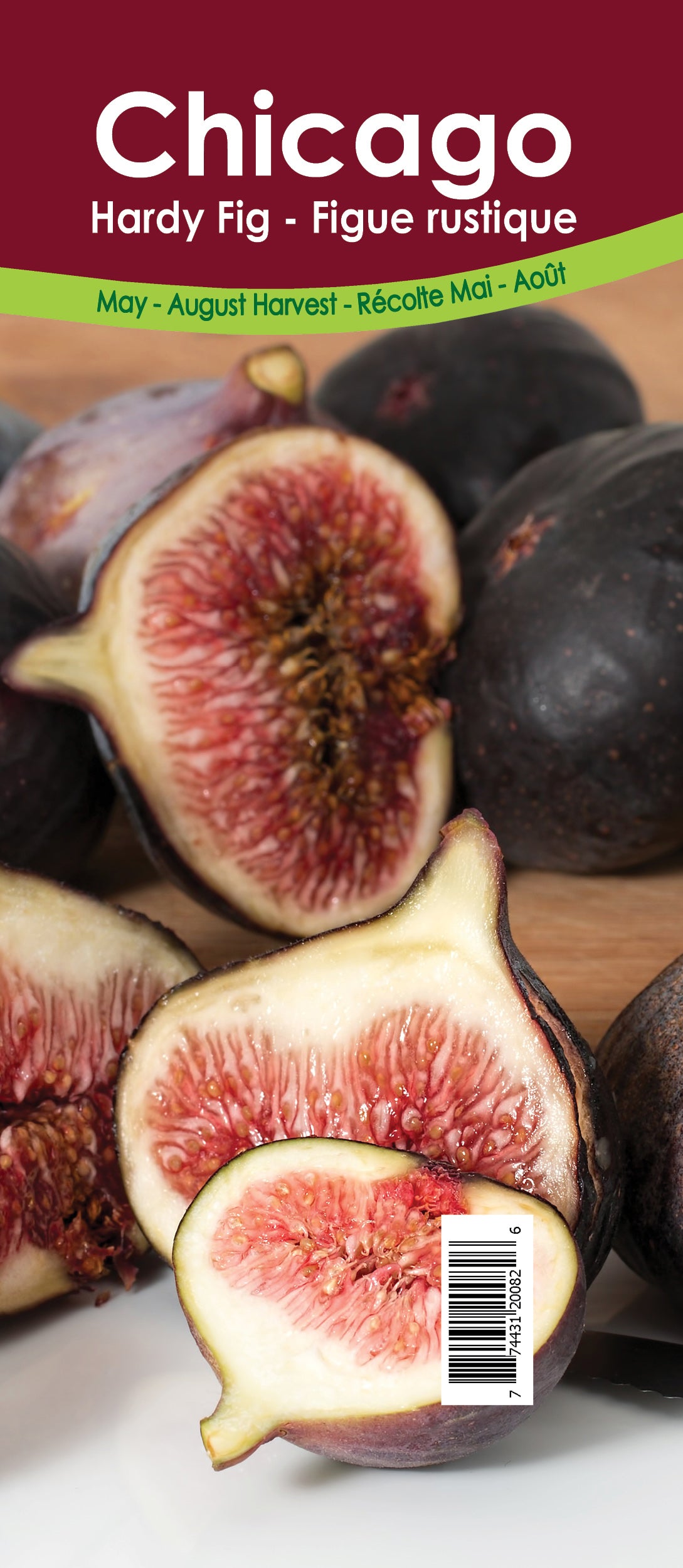 Hardy Fig - Chicago Hardy Retail