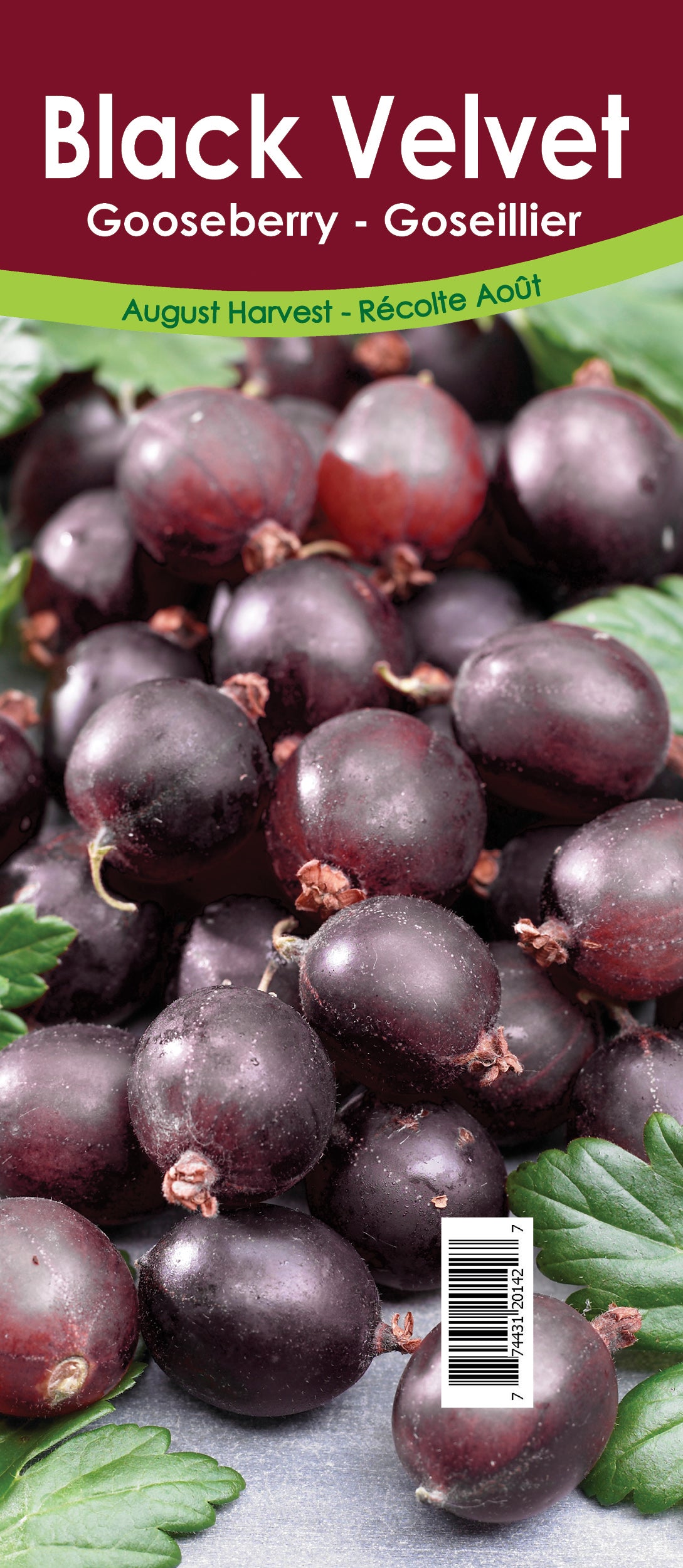 Gooseberry Asst'd Unit Retail