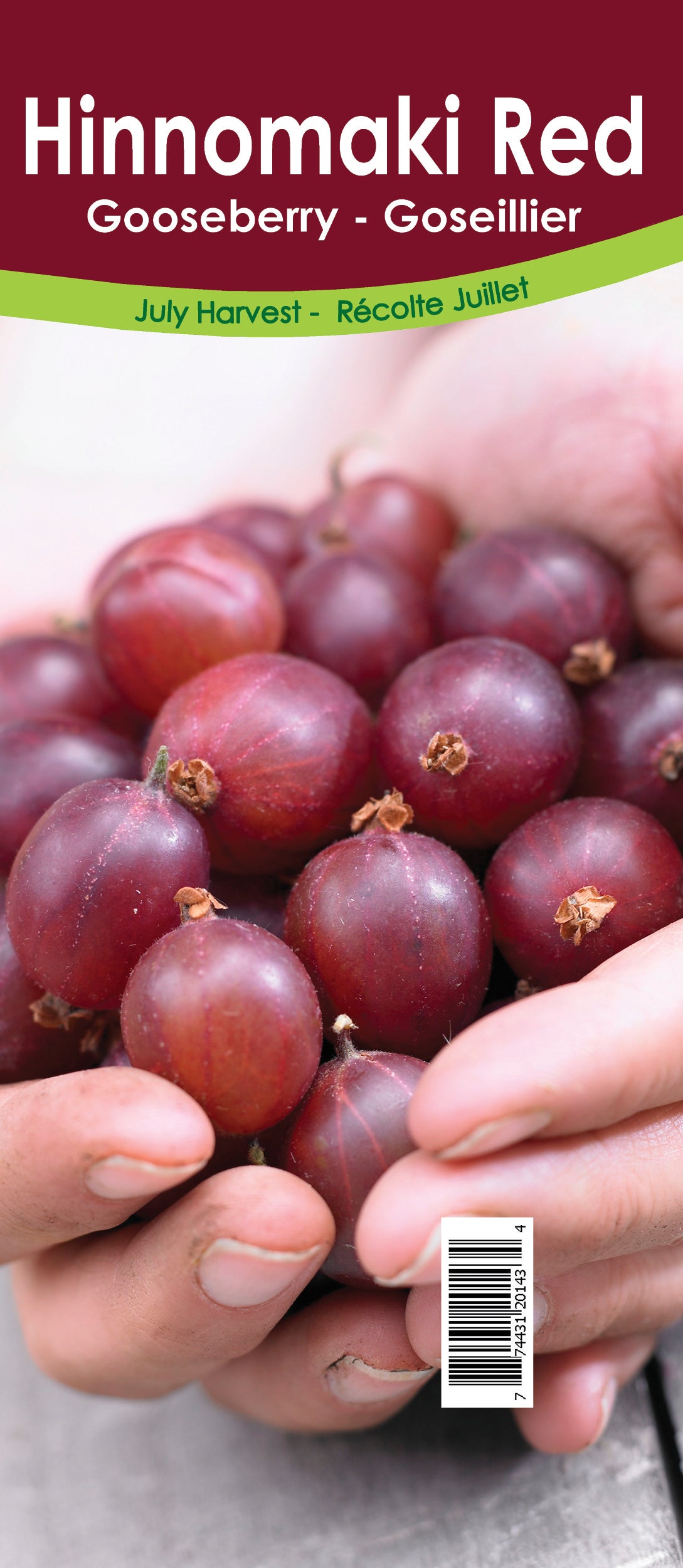 Gooseberry Asst'd Unit Retail