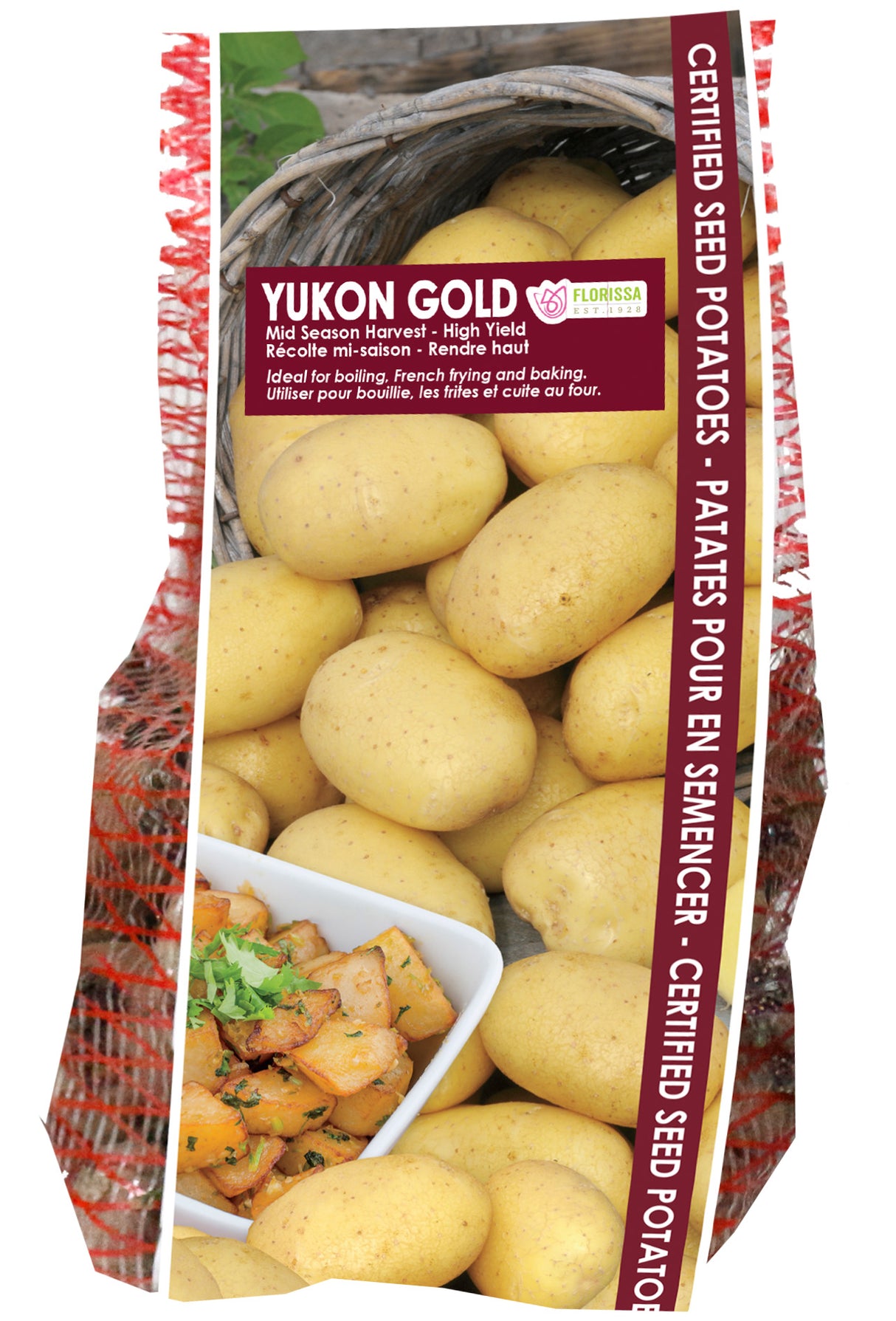Potato Yellow Skinned - Yukon Gold (early nugget)