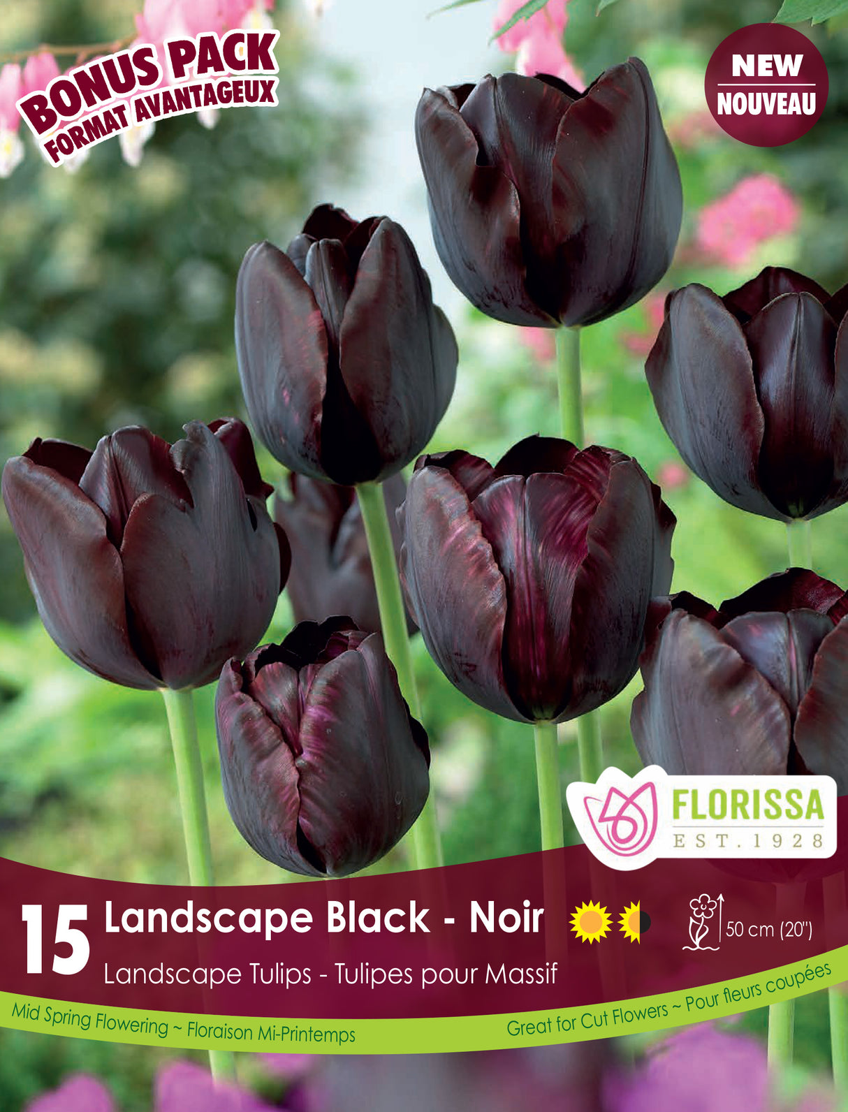Bonus Pack Tulip  - Landscape Black Retail
