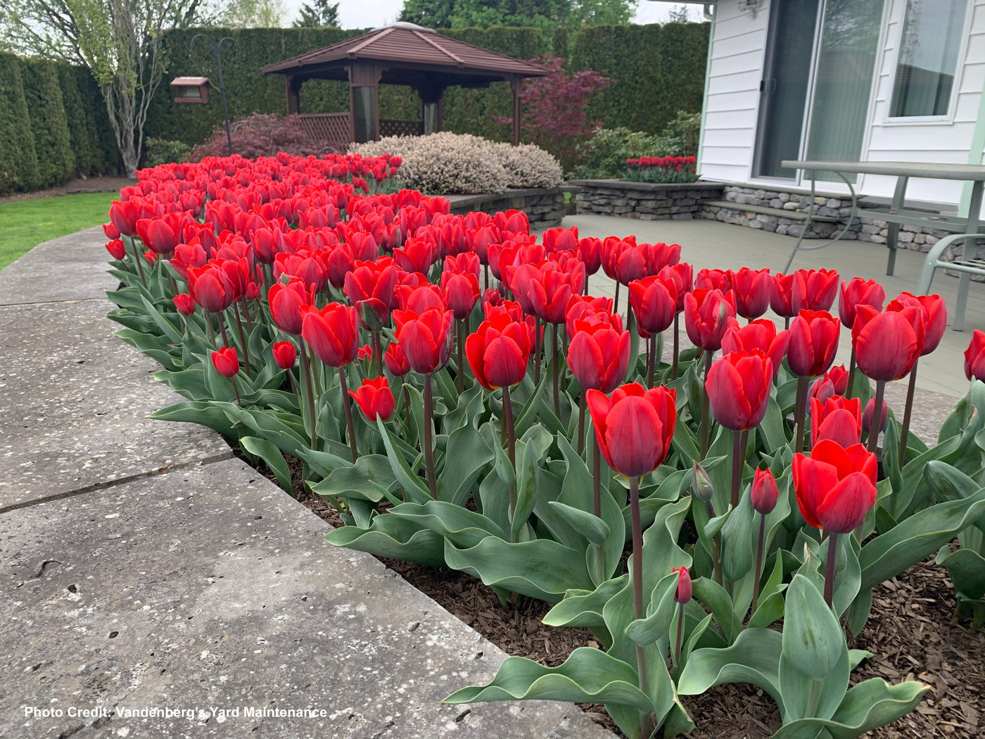 pf-22e23708--img2306__PID:110aee65-1c10-4f86-bf73-6d24adaa7d0c