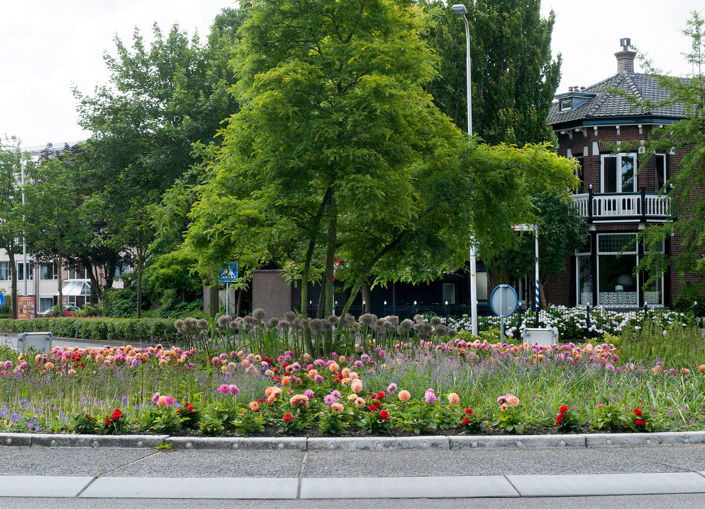 pf-949f3c1d--dahlia-landscaping-ibulb-222776__PID:0c849a2b-f2be-47e5-b385-9b523f118aea