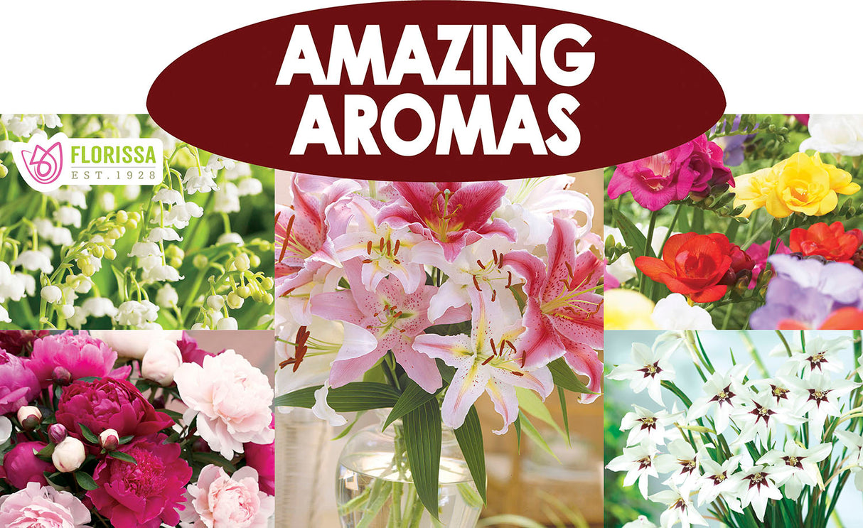 Metal Rack Topper - Amazing Aromas 25" long
