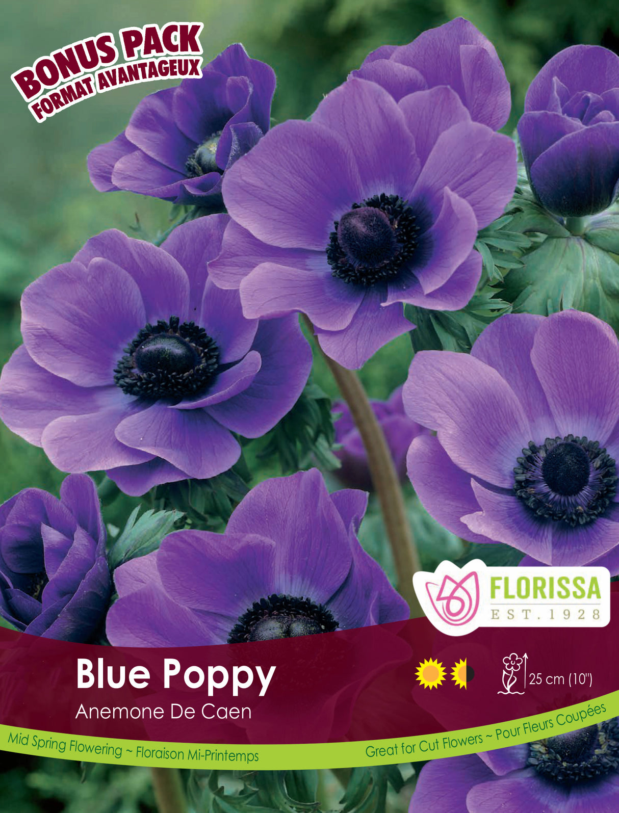 Bonus Pack Anemone - Blue Poppy