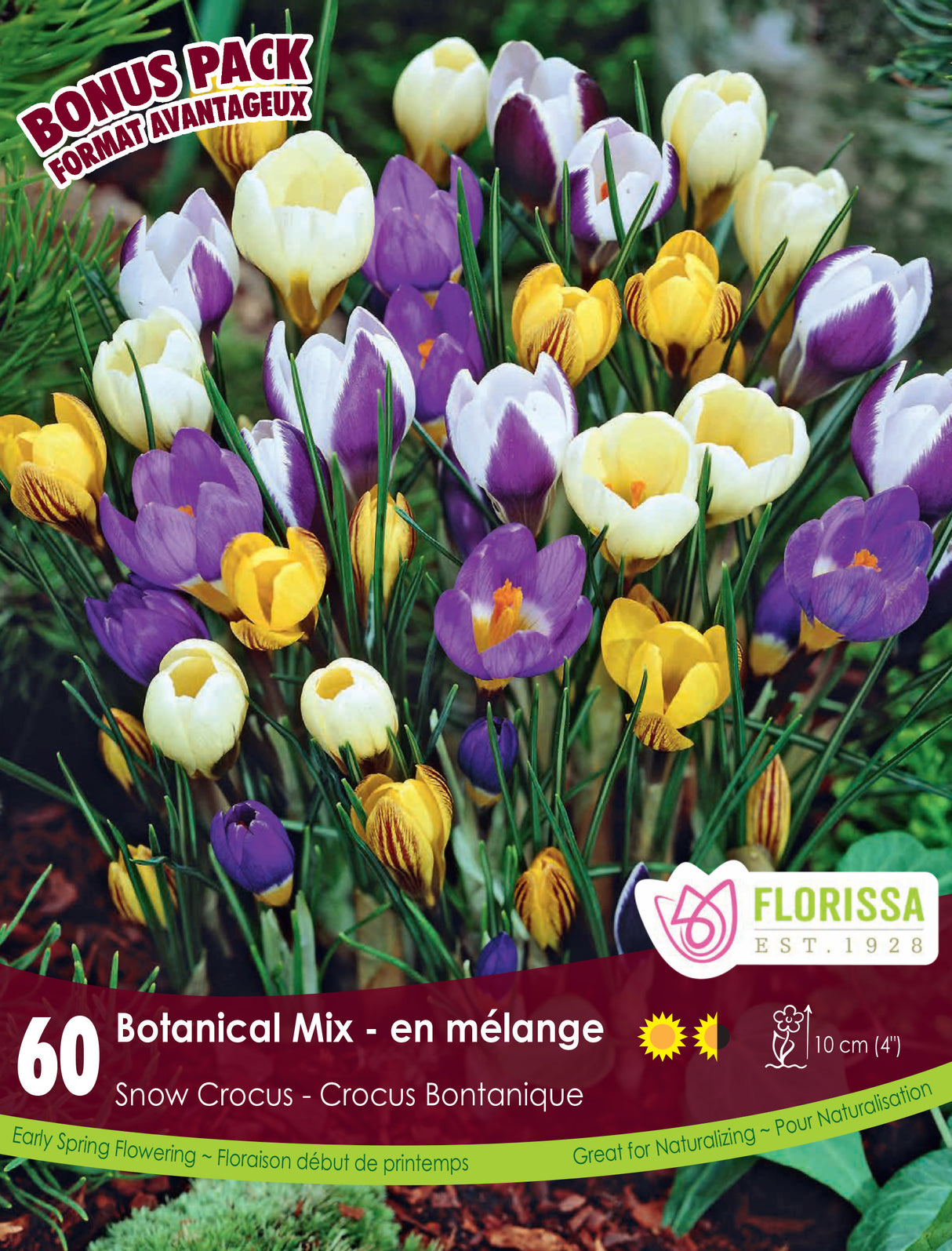 Bonus Pack Crocus - Botanical Mix