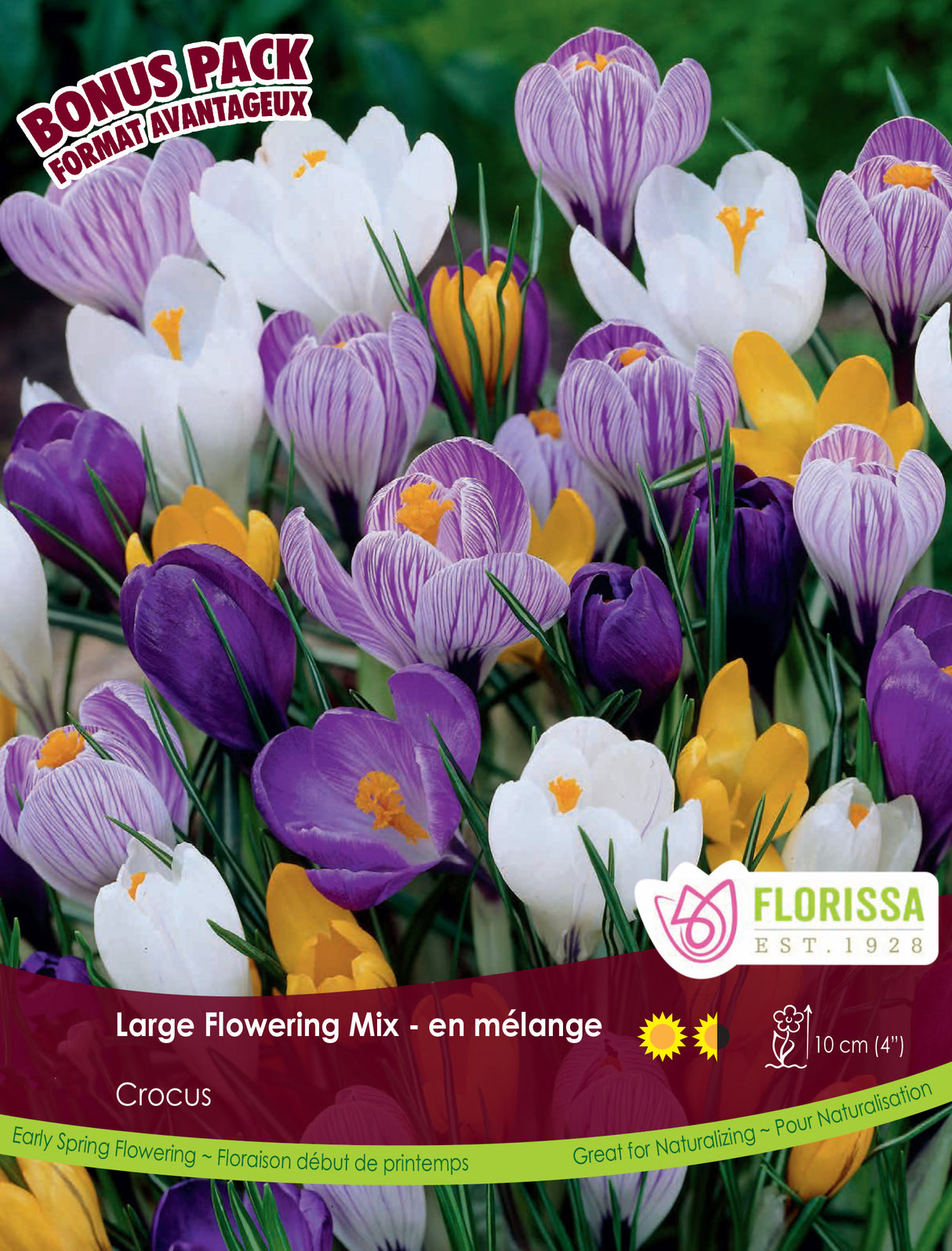 Bonus Pack Crocus - Large Flowering Mixed