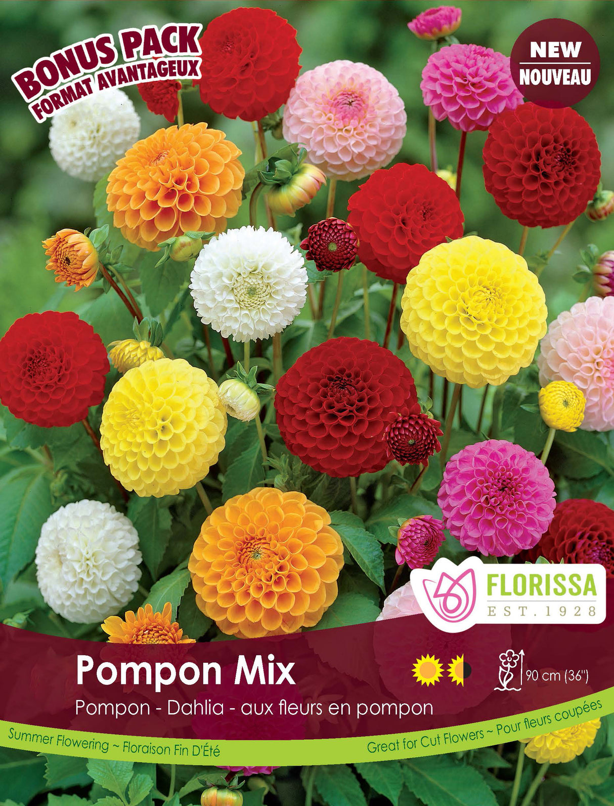 Bonus Pack - Dahlia Pompon Mix
