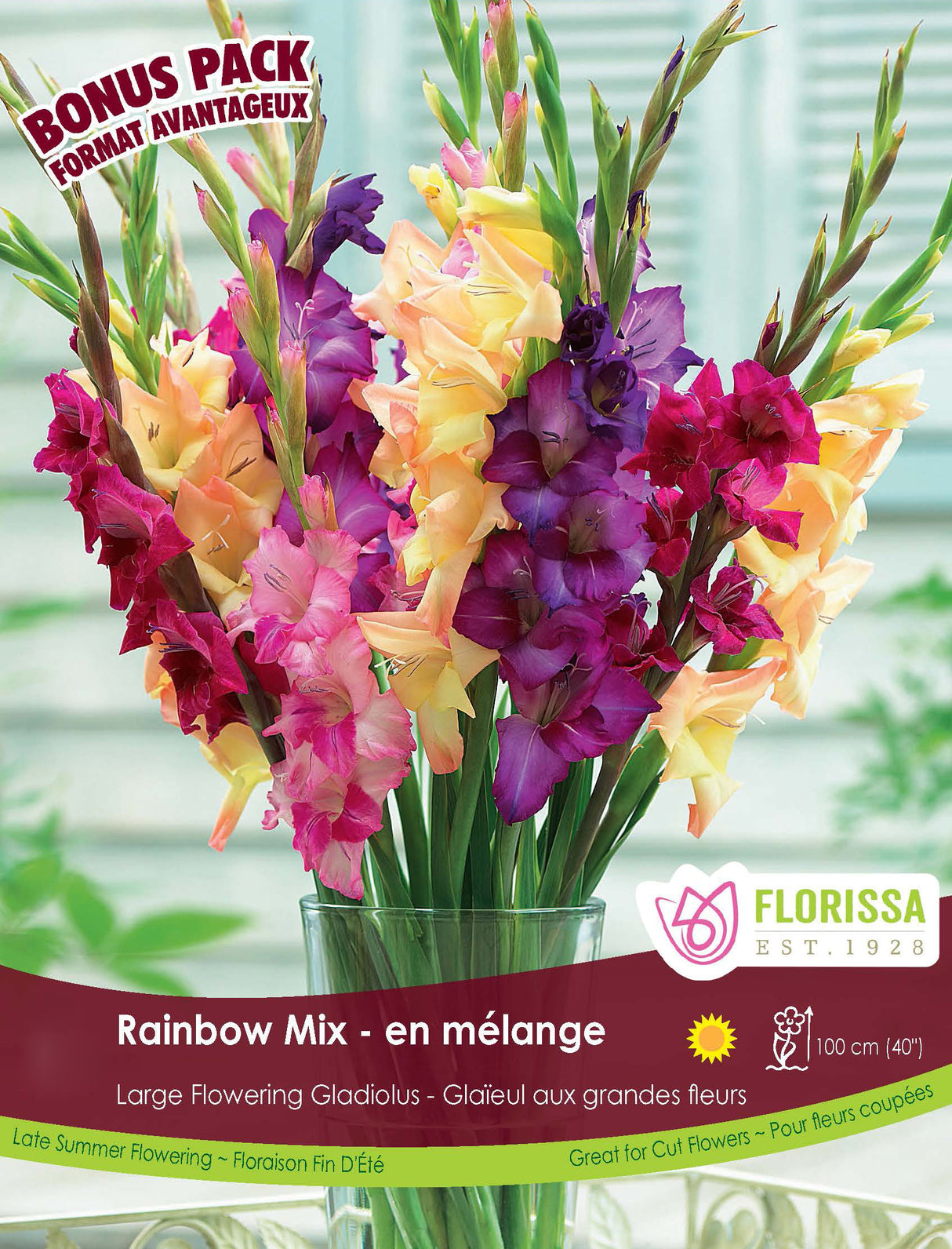 Bonus Pack - Gladiolus Rainbow Mix