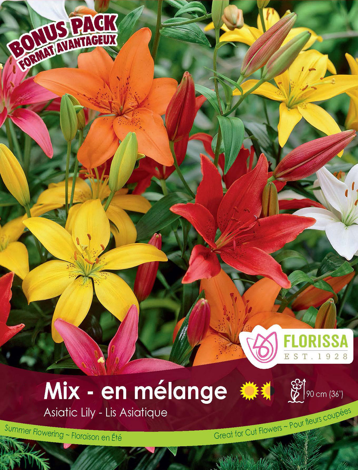 Bonus Pack - Lily Asiatic Mix