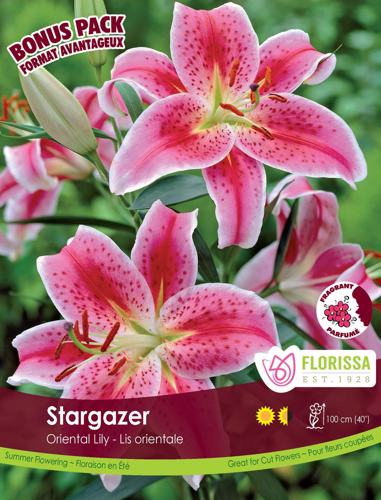 Bonus Pack - Lily Oriental Stargazer