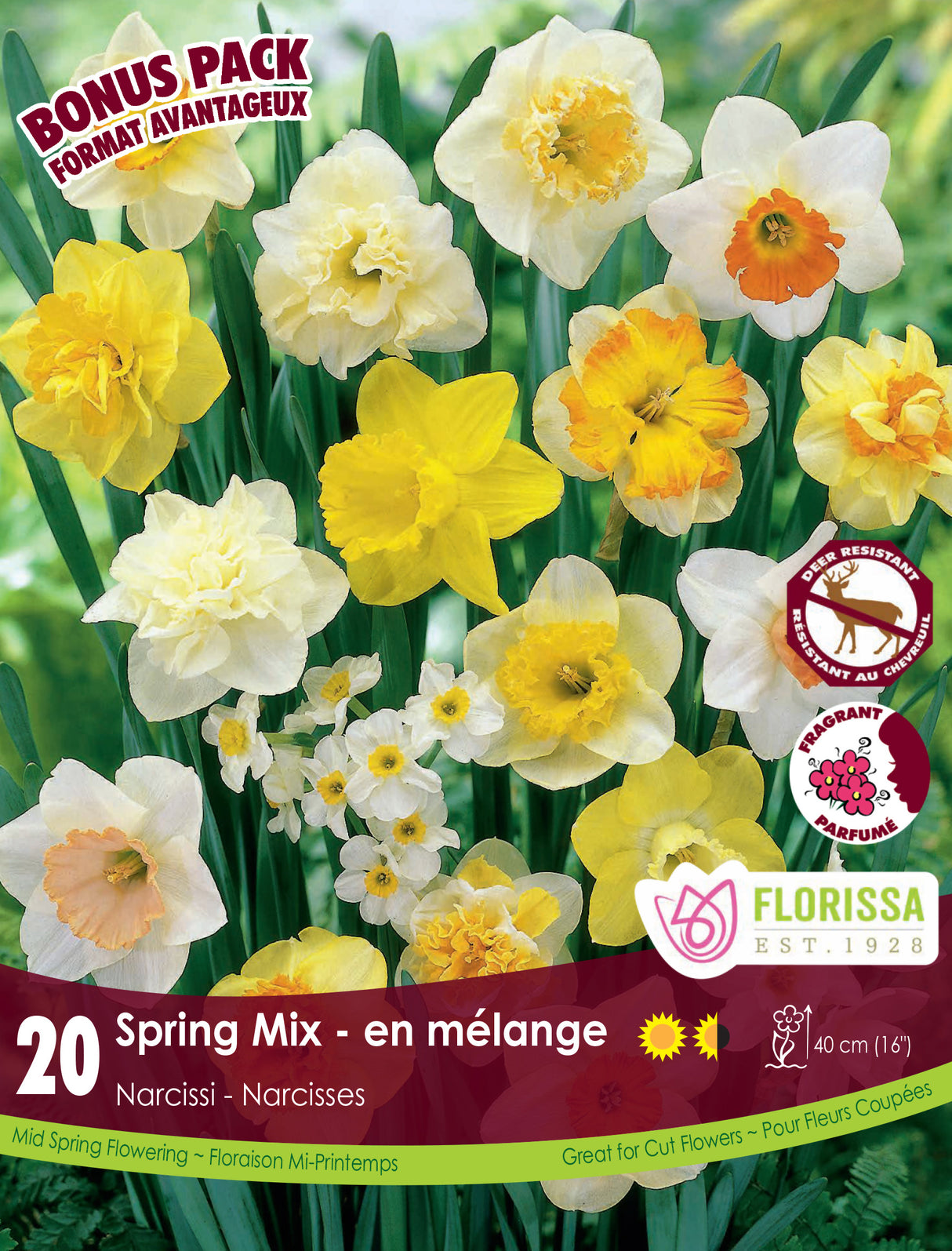 Bonus Pack Narcissus - Spring Mix