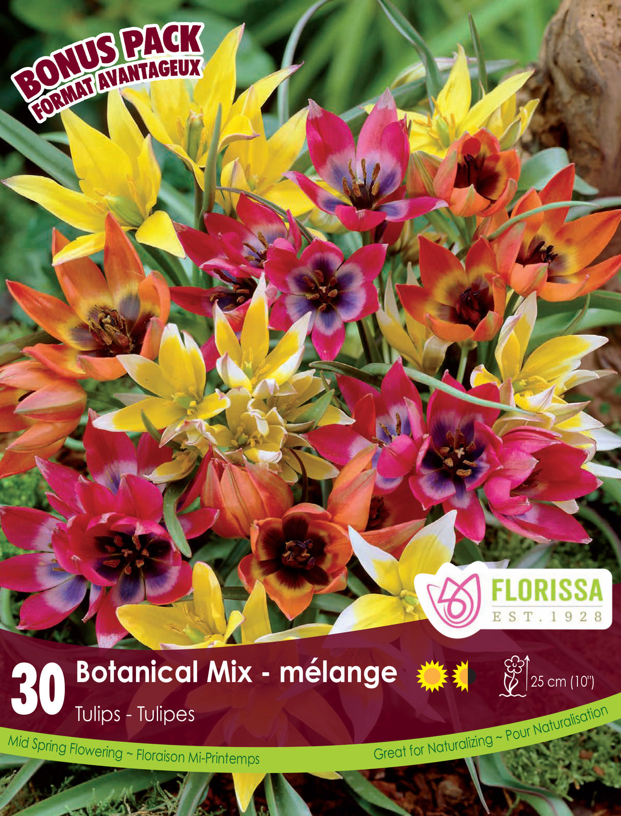 Bonus Pack Tulip - Botanical Mix Retail