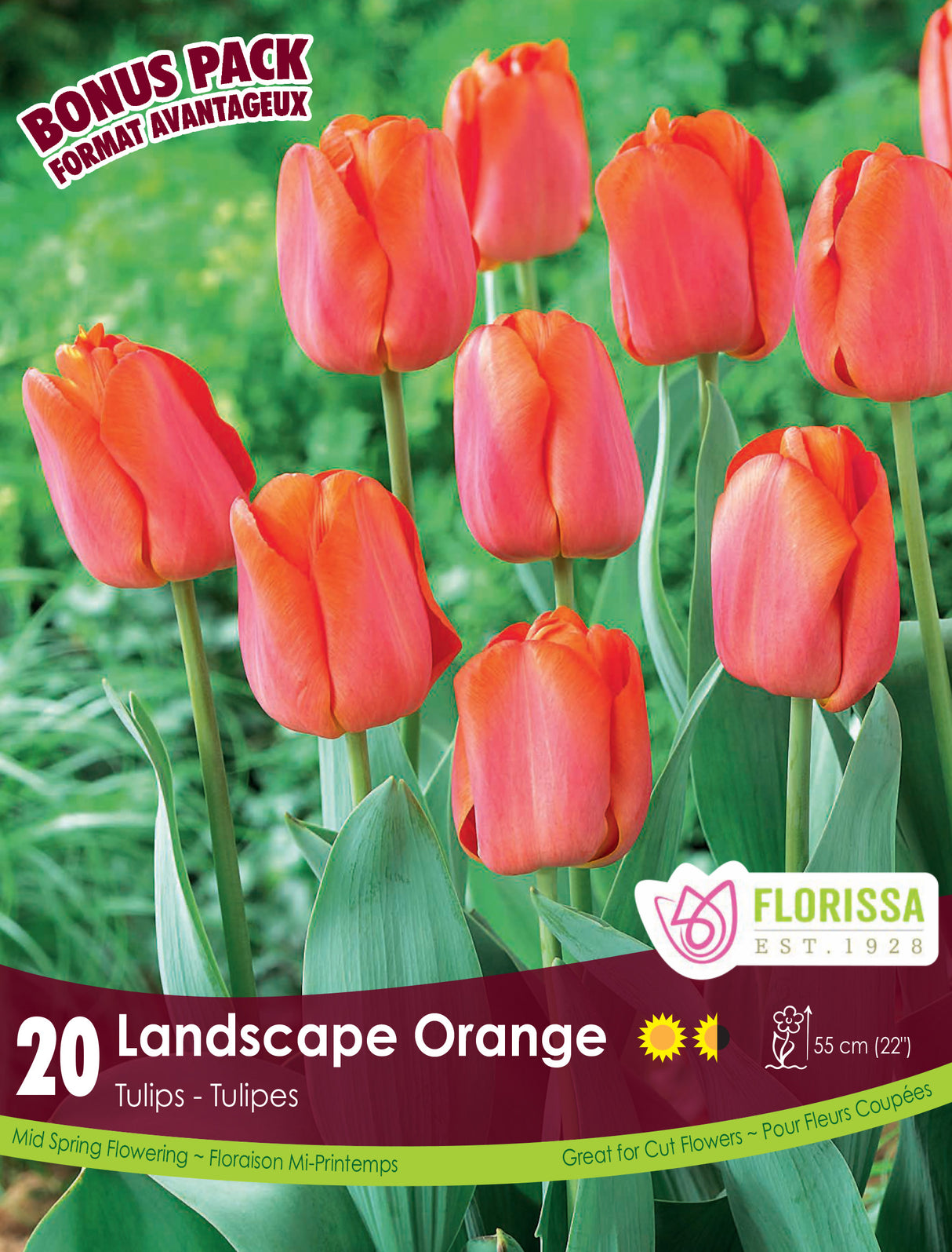 Bonus Pack Tulip  - Landscape Orange Retail