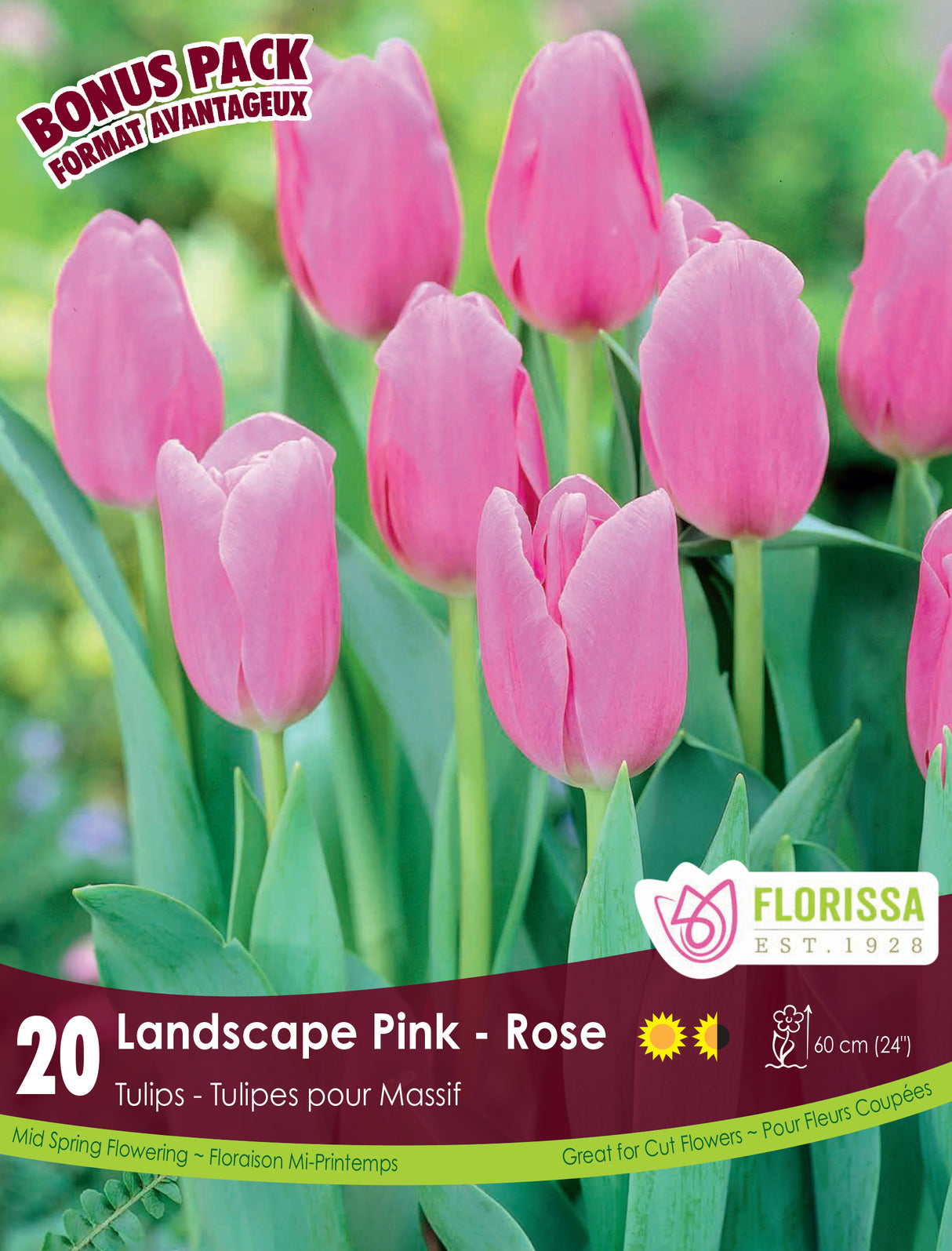 Bonus Pack Tulip  - Landscape Pink Retail