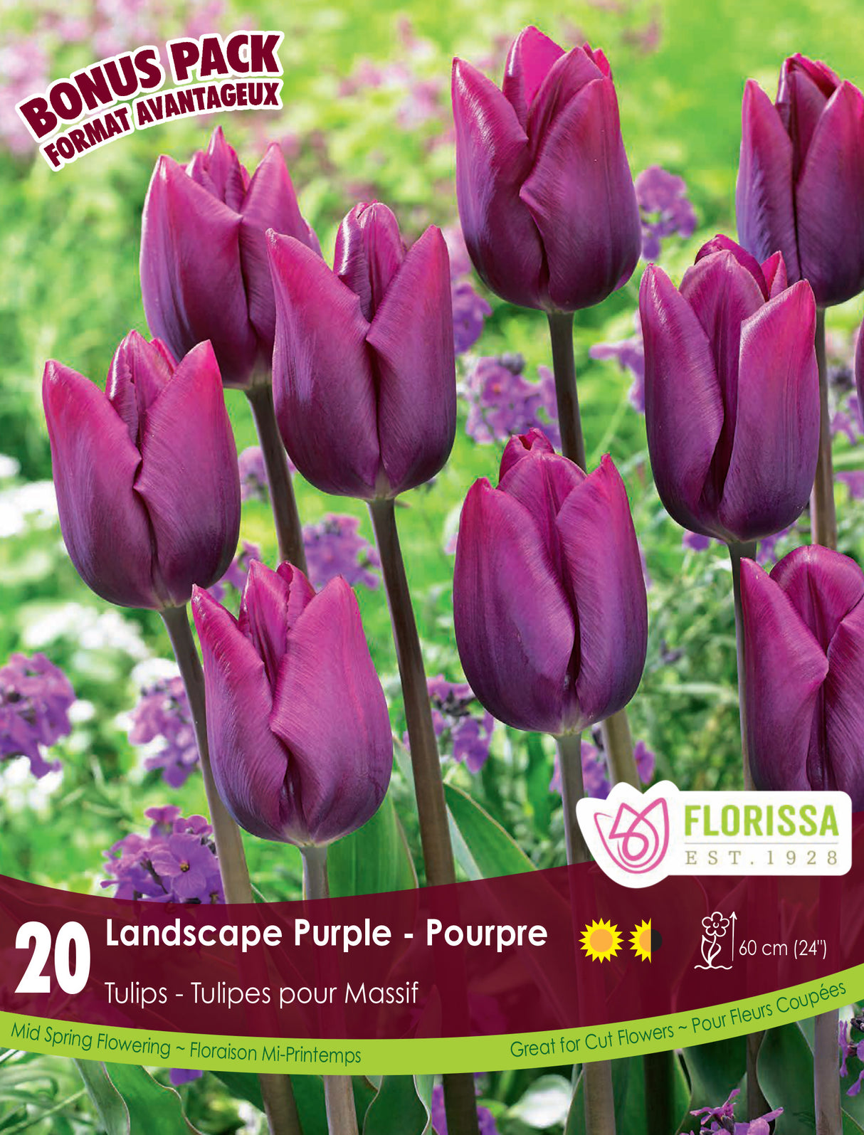 Bonus Pack Tulip  - Landscape Purple Retail