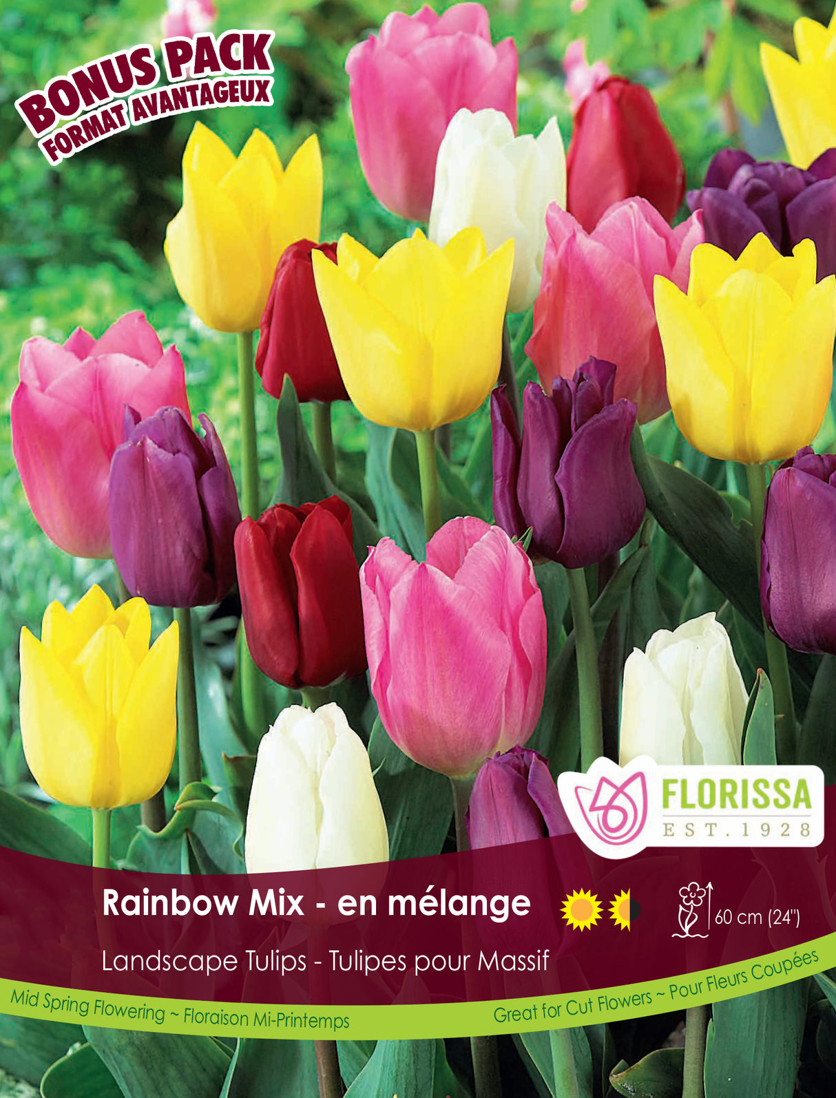 Bonus Pack Tulip - Rainbow Mix Retail