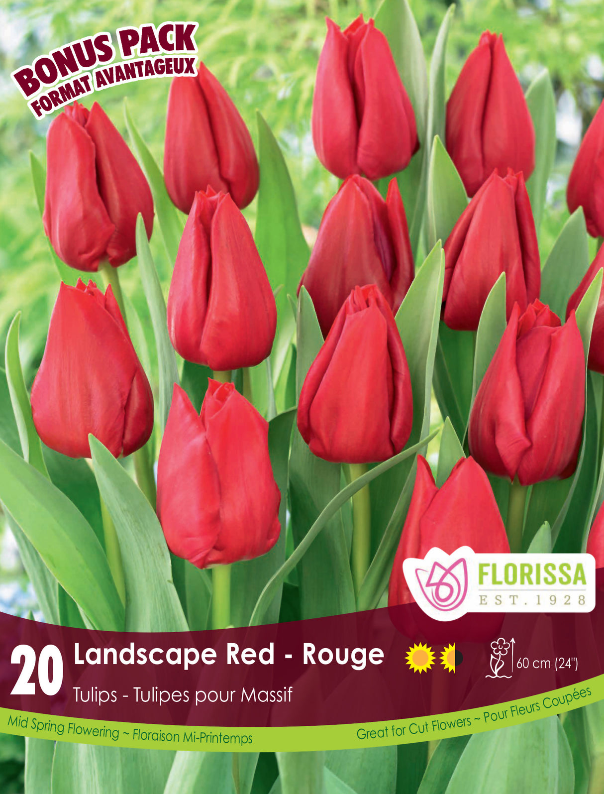 Bonus Pack Tulip - Landscape Red Retail