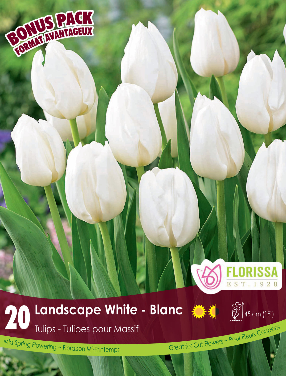 Bonus Pack Tulip - Landscape White Retail