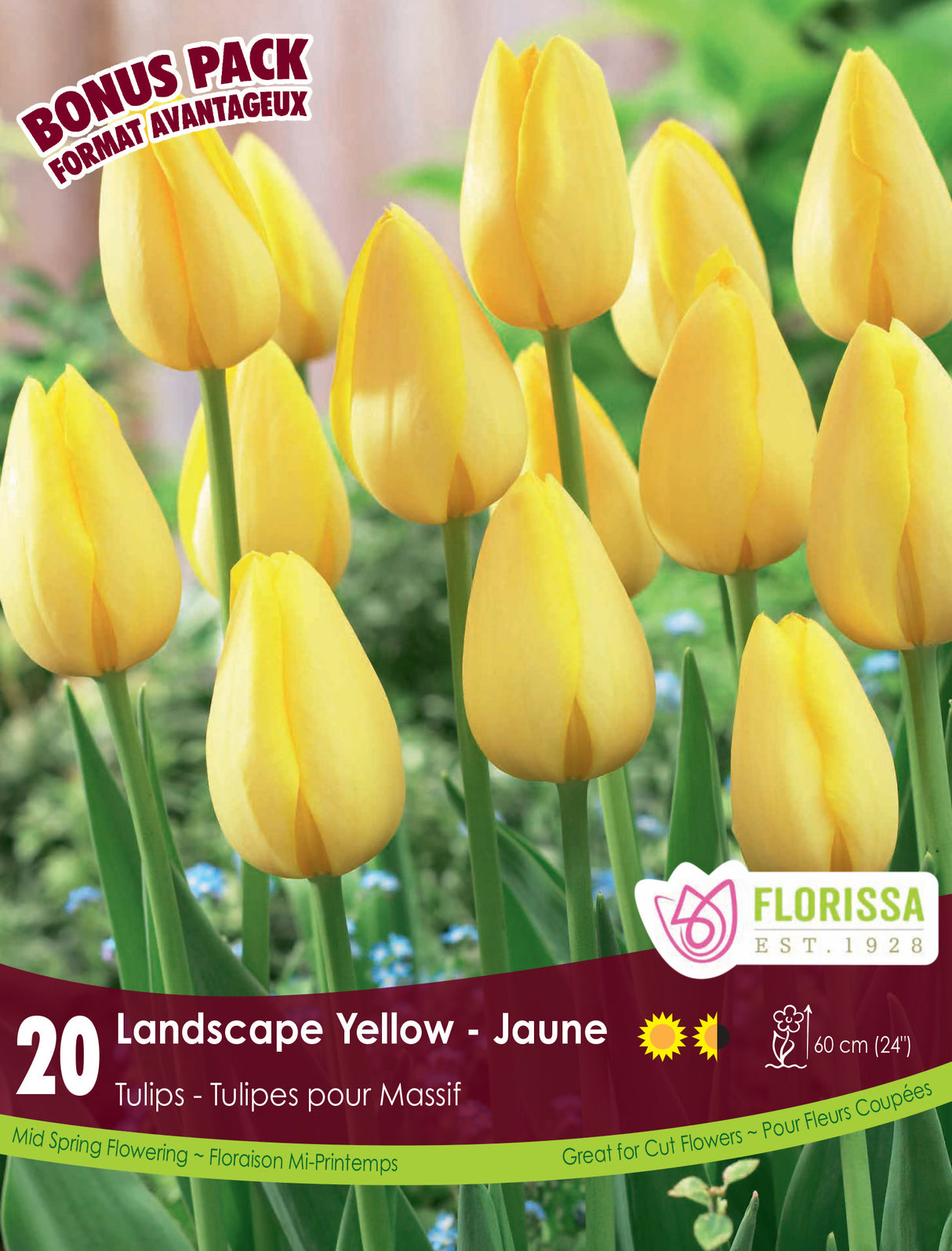 Bonus Pack Tulip - Landscape Yellow Retail