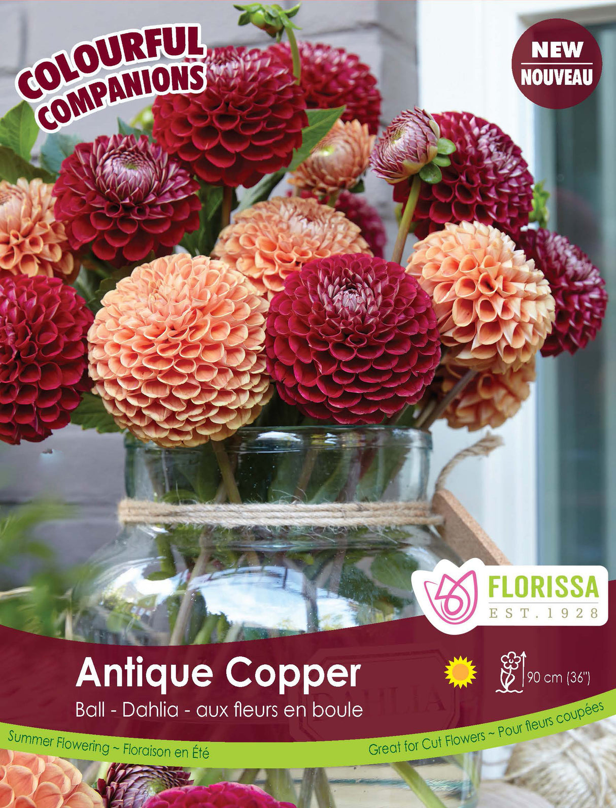 Spring Colourful Companion - Antique Copper