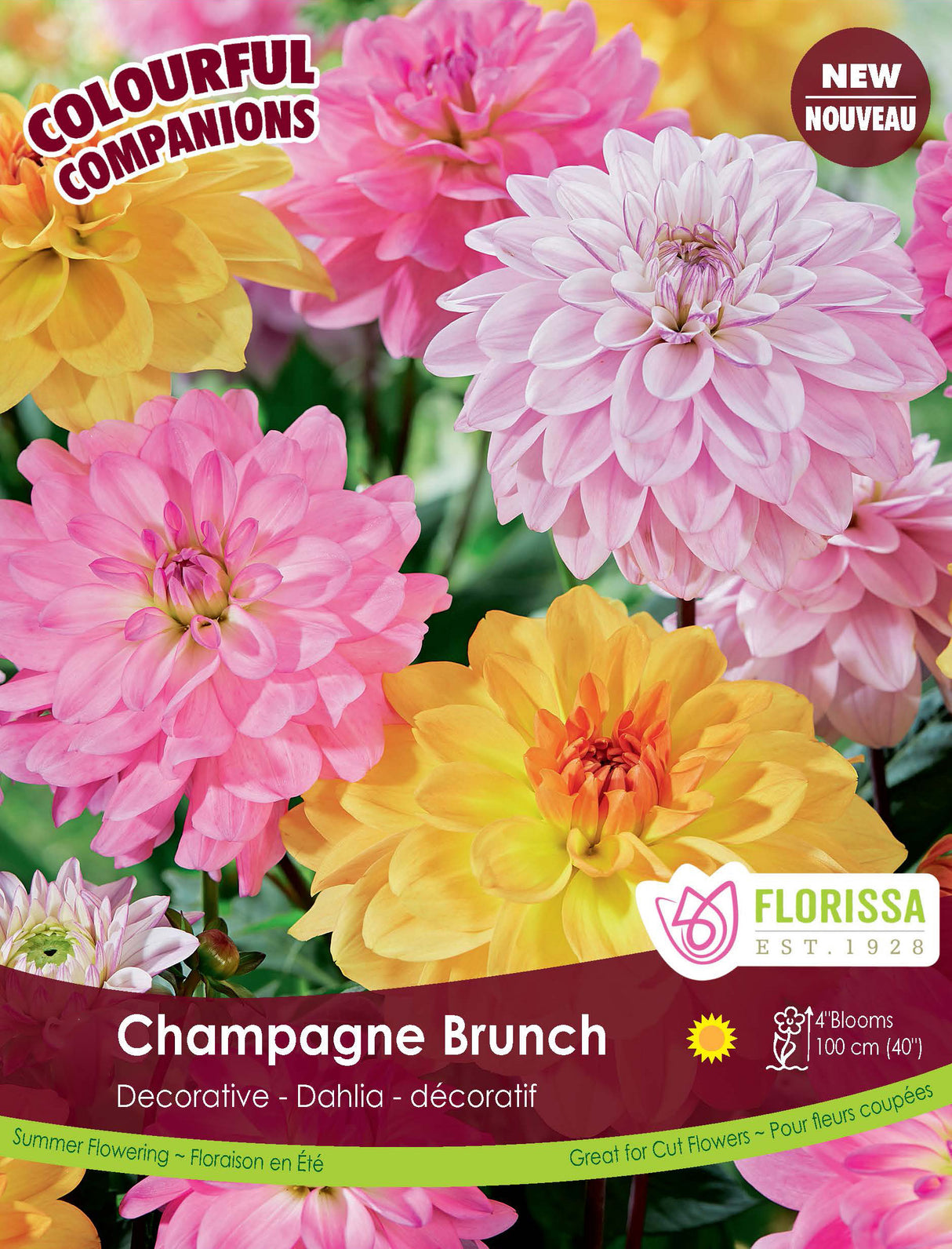 Spring Colourful Companion - Champagne Brunch