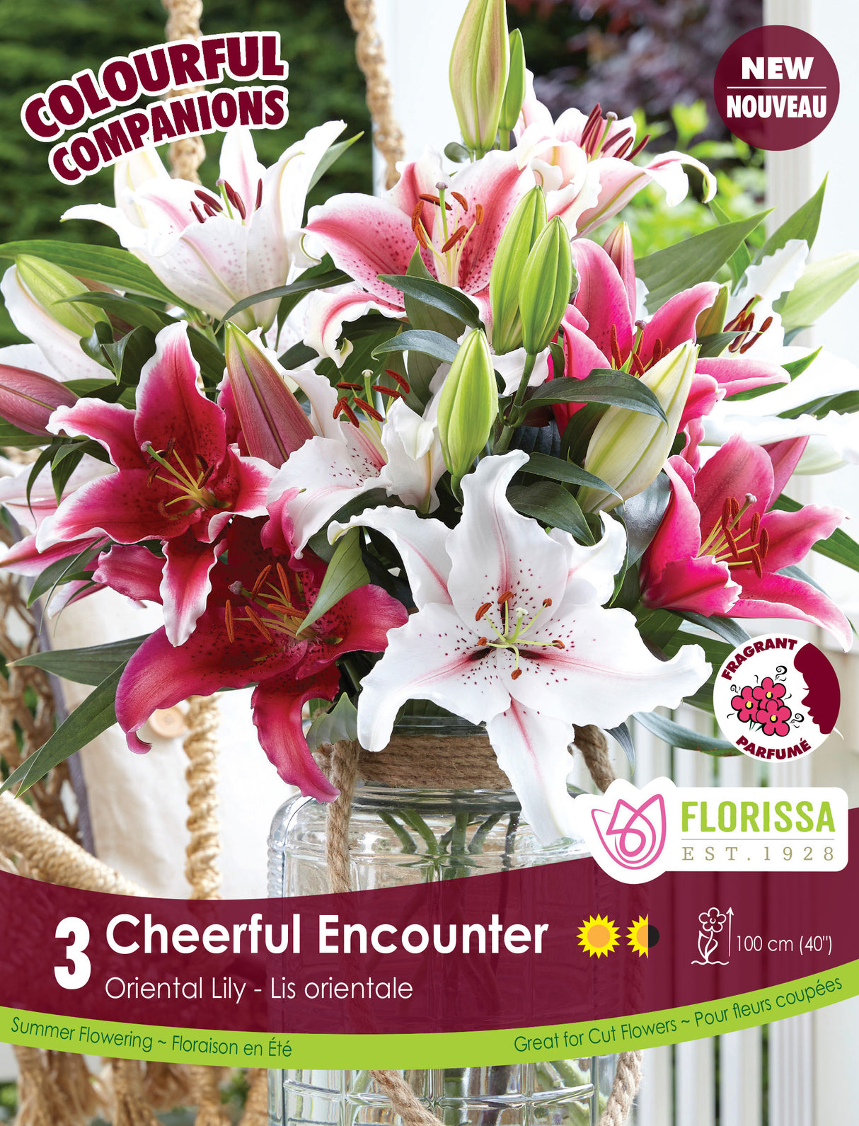 Spring Colourful Companion - Cheerful Encounter