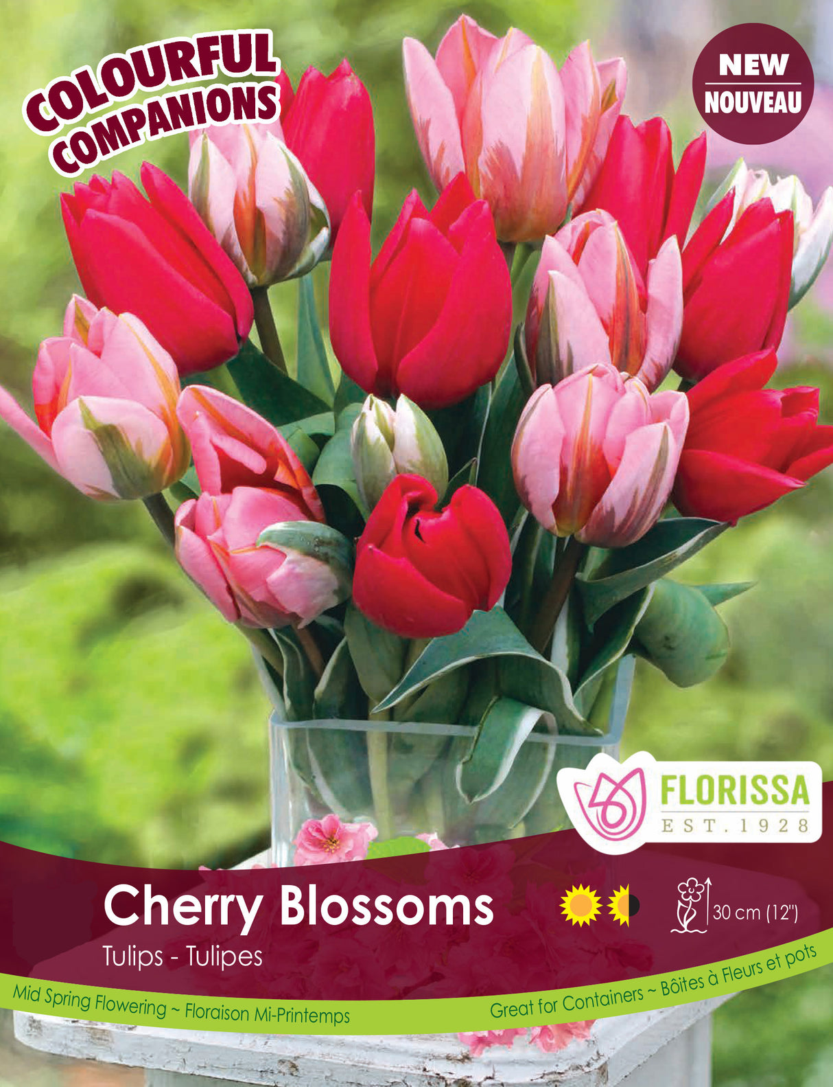 Fall Colourful Companions - Cherry Blossoms Bulk