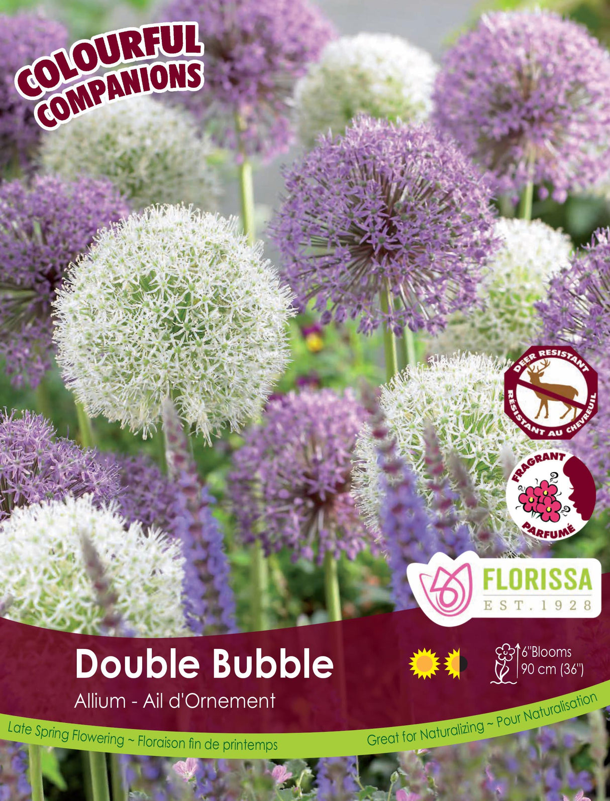 Fall Colourful Companions - Double Bubble Bulk