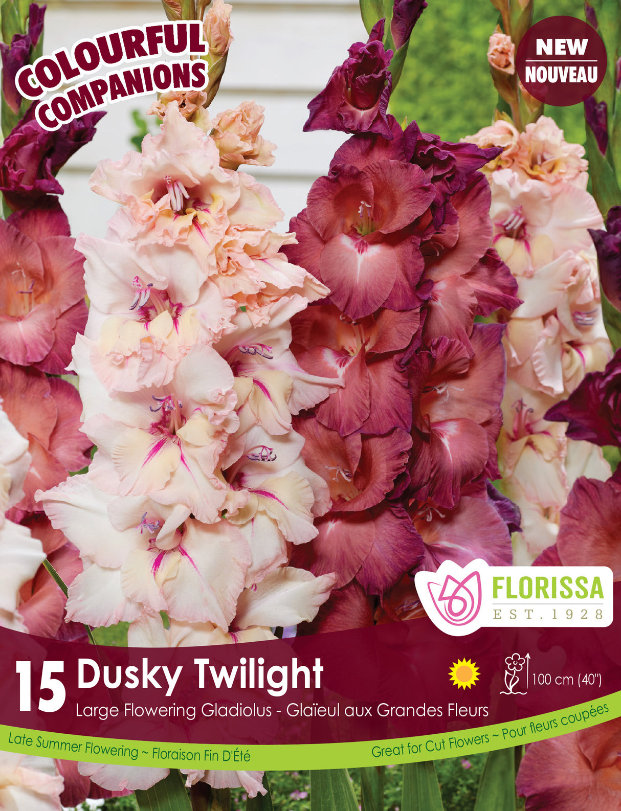 Spring Colourful Companion - Dusky Twilight