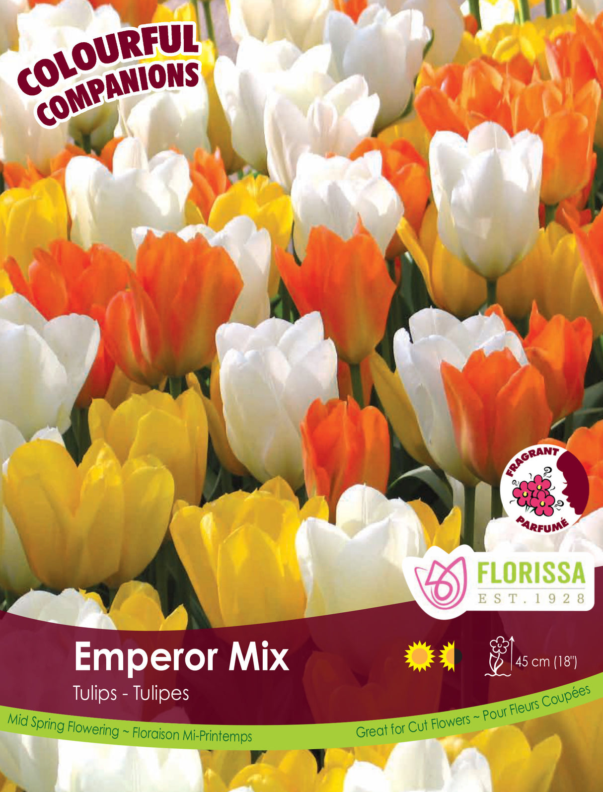 Fall Colourful Companions - Emperor Mix Bulk