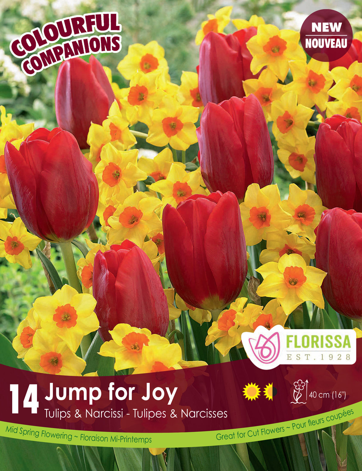Fall Colourful Companions - Jump for Joy Retail