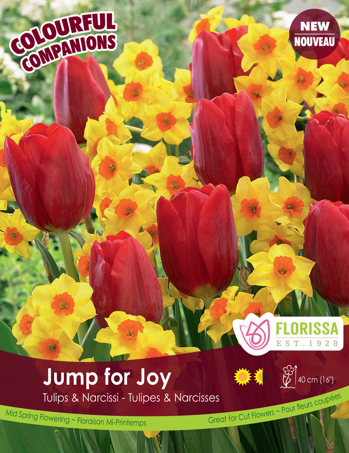 Fall Colourful Companions - Jump for Joy Bulk