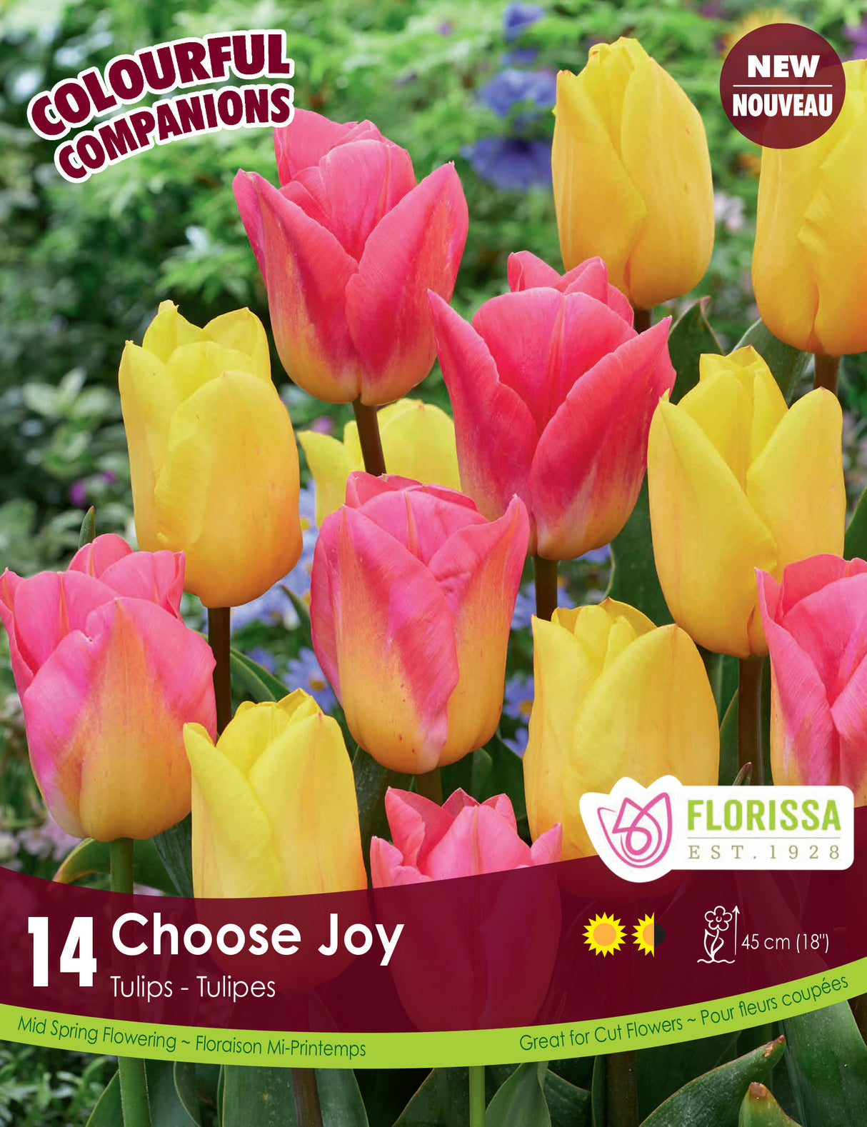 Fall Colourful Companions - Choose Joy Retail