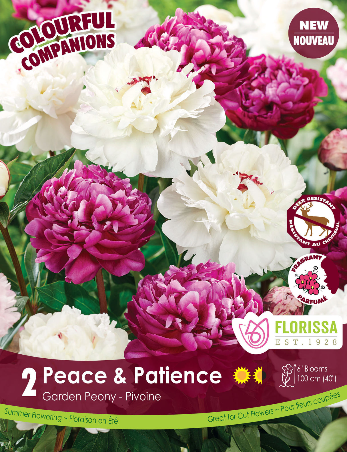 Spring Colourful Companion - Peace & Patience