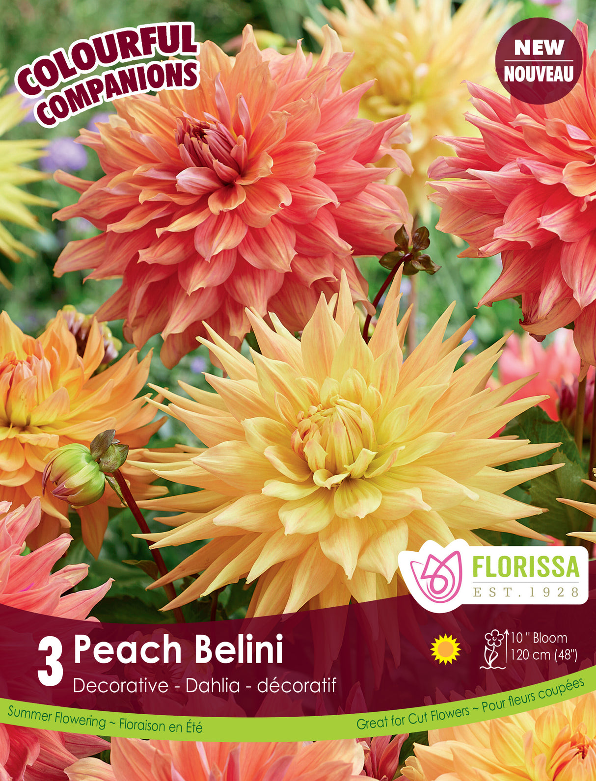 Spring Colourful Companion - Peach Bellini