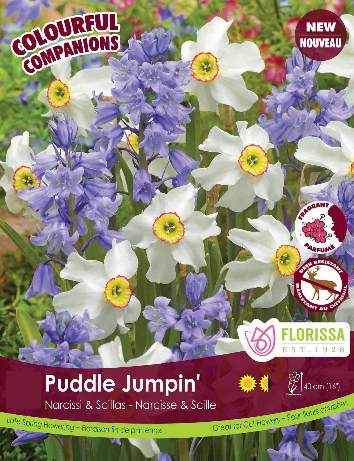 Fall Colourful Companions - Puddle Jumpin' Bulk