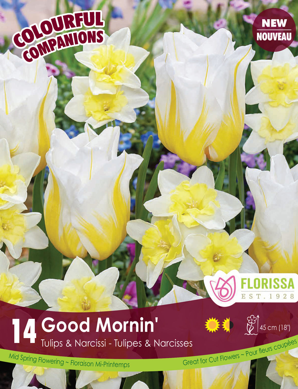 Fall Colourful Companions - Good Mornin' Retail