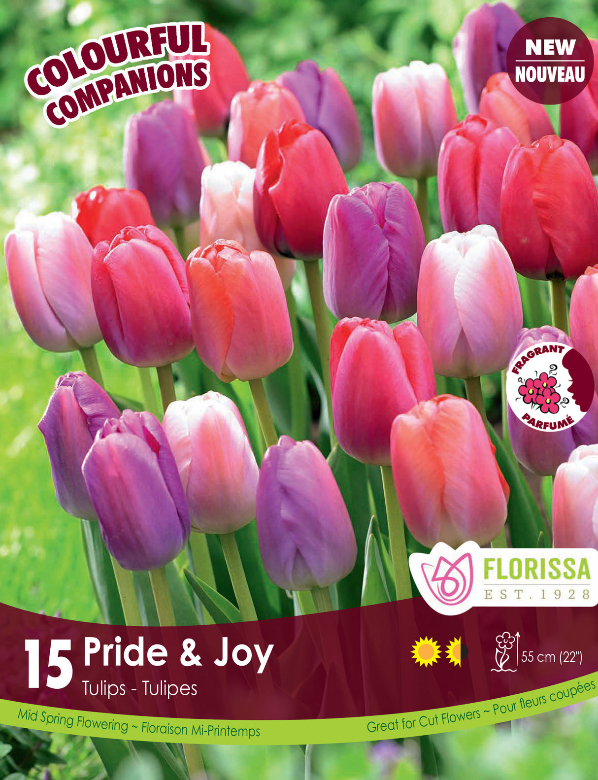 Fall Colourful Companions - Pride & Joy Retail