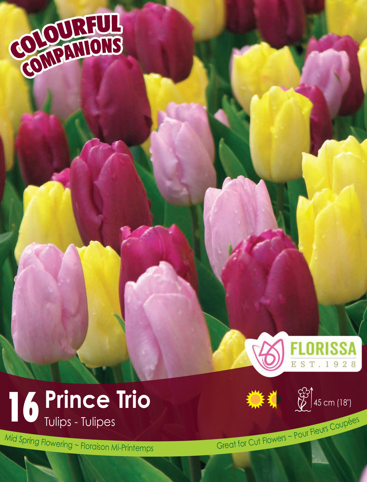 Fall Colourful Companions - Prince Trio Retail