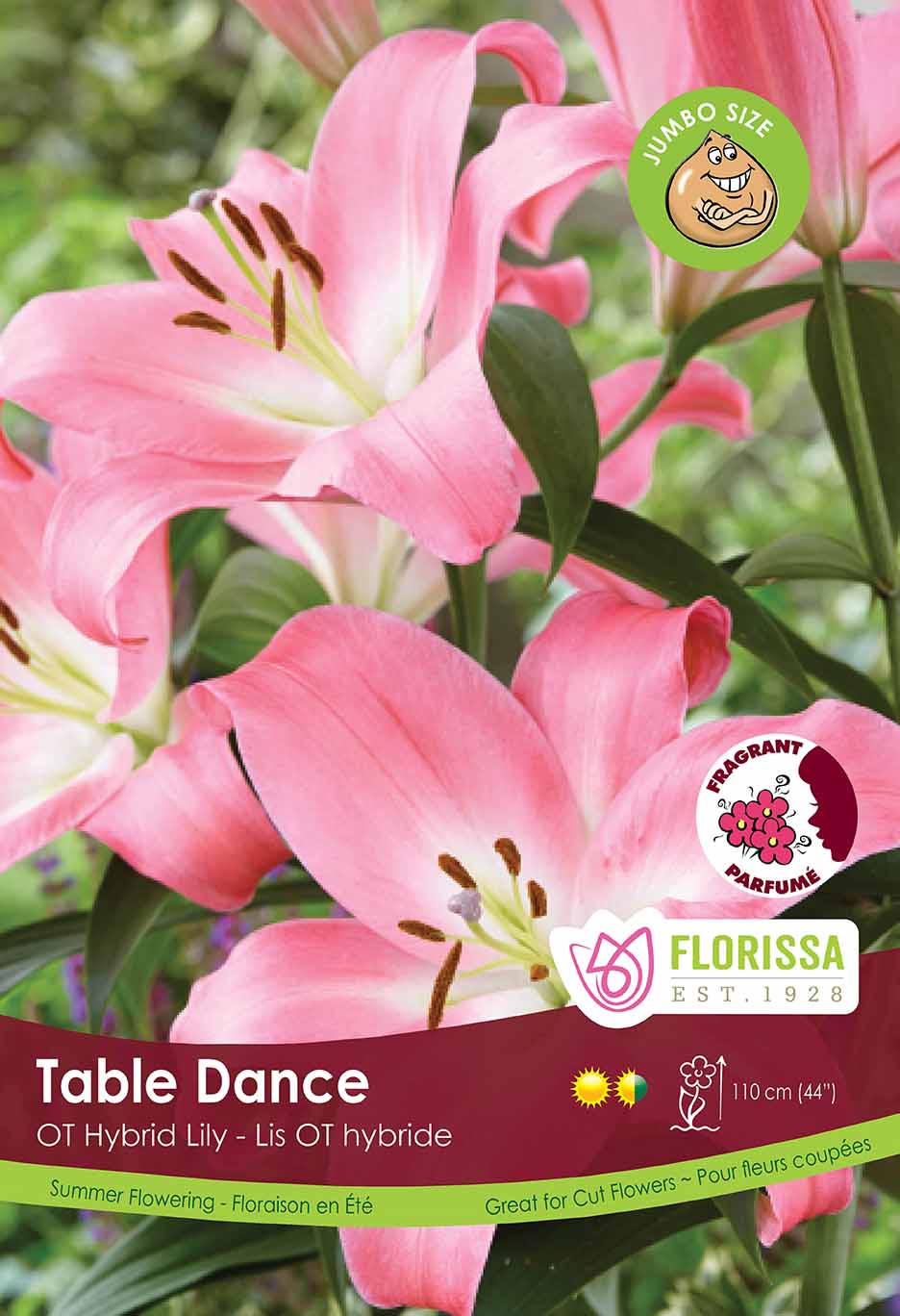 Lily Oriental - Jumbo Pink Bulk Crate