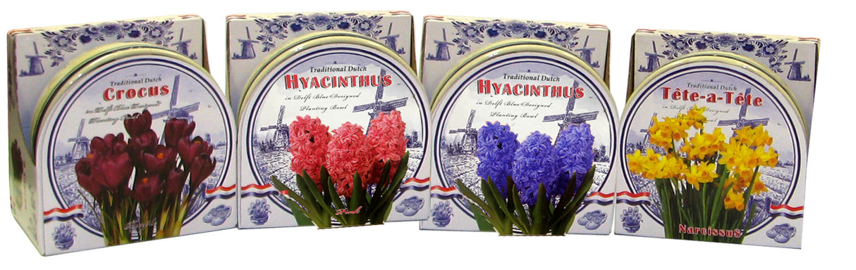 GP30 Ceramic Bowl Kits Assorted - Gift Kits